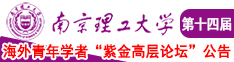 色色插插南京理工大学第十四届海外青年学者紫金论坛诚邀海内外英才！